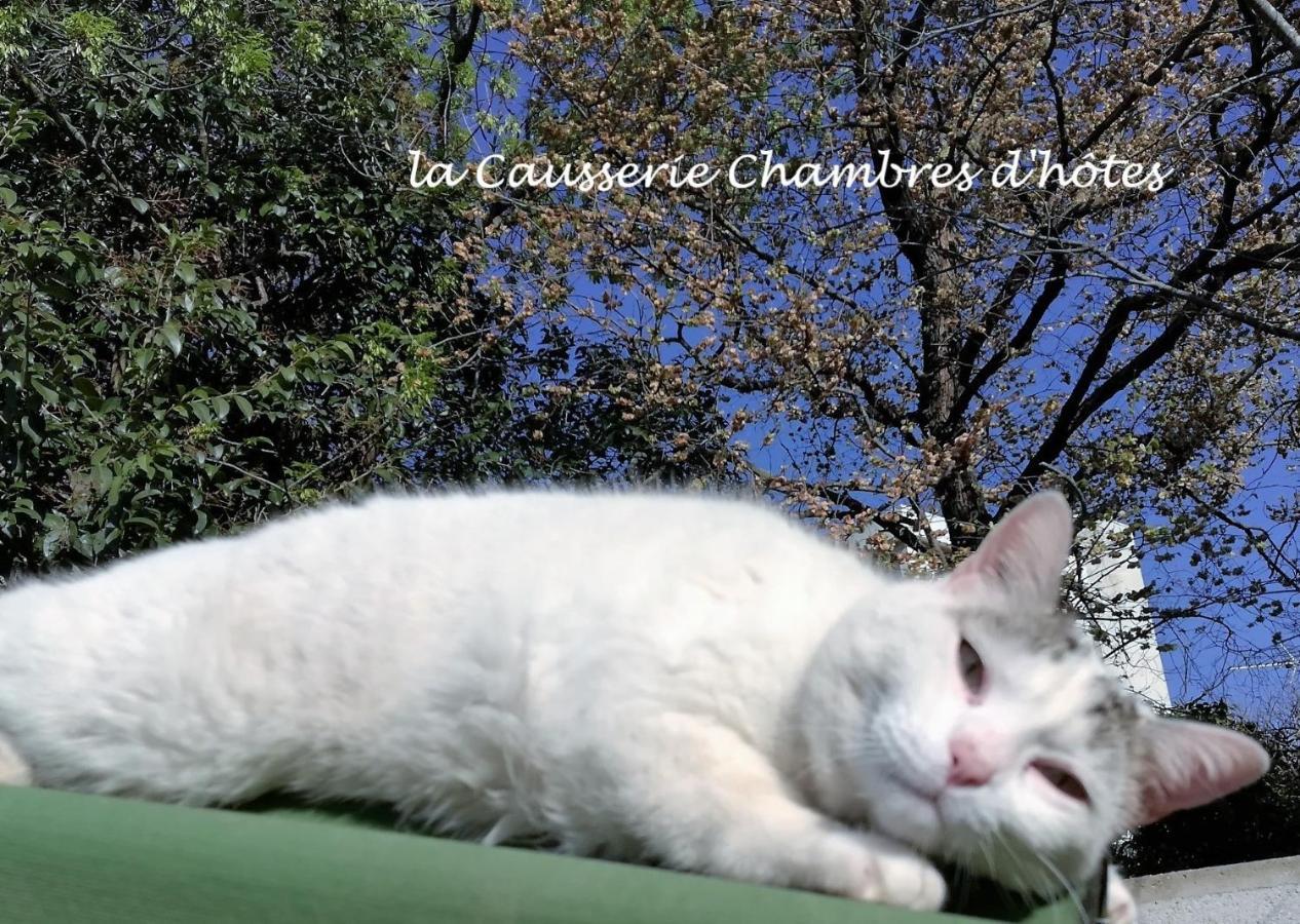 La Causserie, 2 Chambres D'Hotes, 2 A 4 Invites, Pour Vous Seuls กรามาต์ ภายนอก รูปภาพ